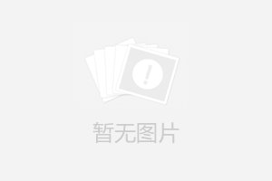 上海赞一汽车服务有限公司介绍